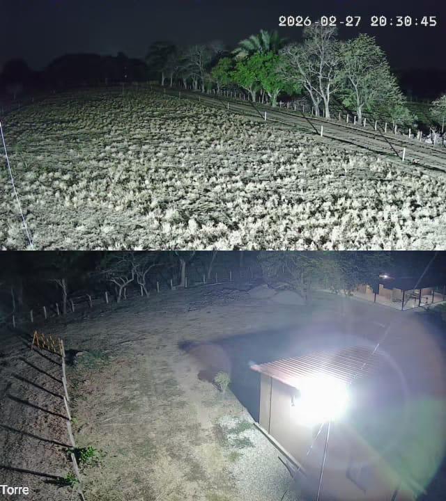 Cámara de seguridad instalada bajo la estructura de un caney en una finca
