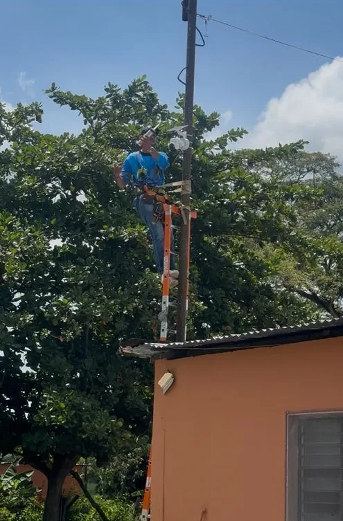 Técnico trabajando en altura sobre un poste